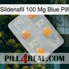 Sildenafil 100 Mg Blue Pill 24